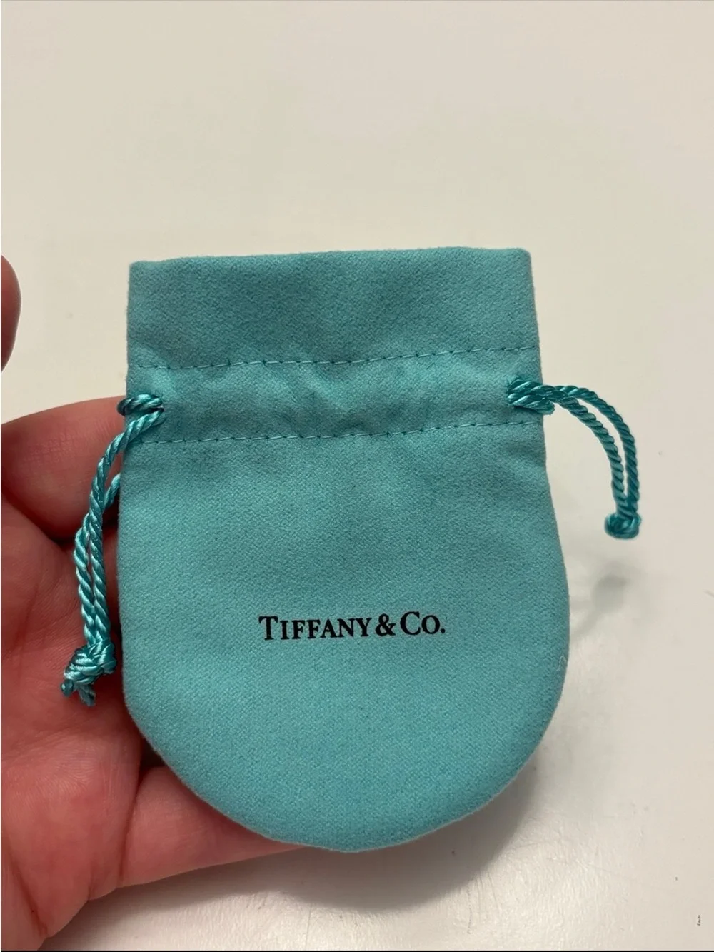 Tiffany & Co. jewelry pouch in the signature 